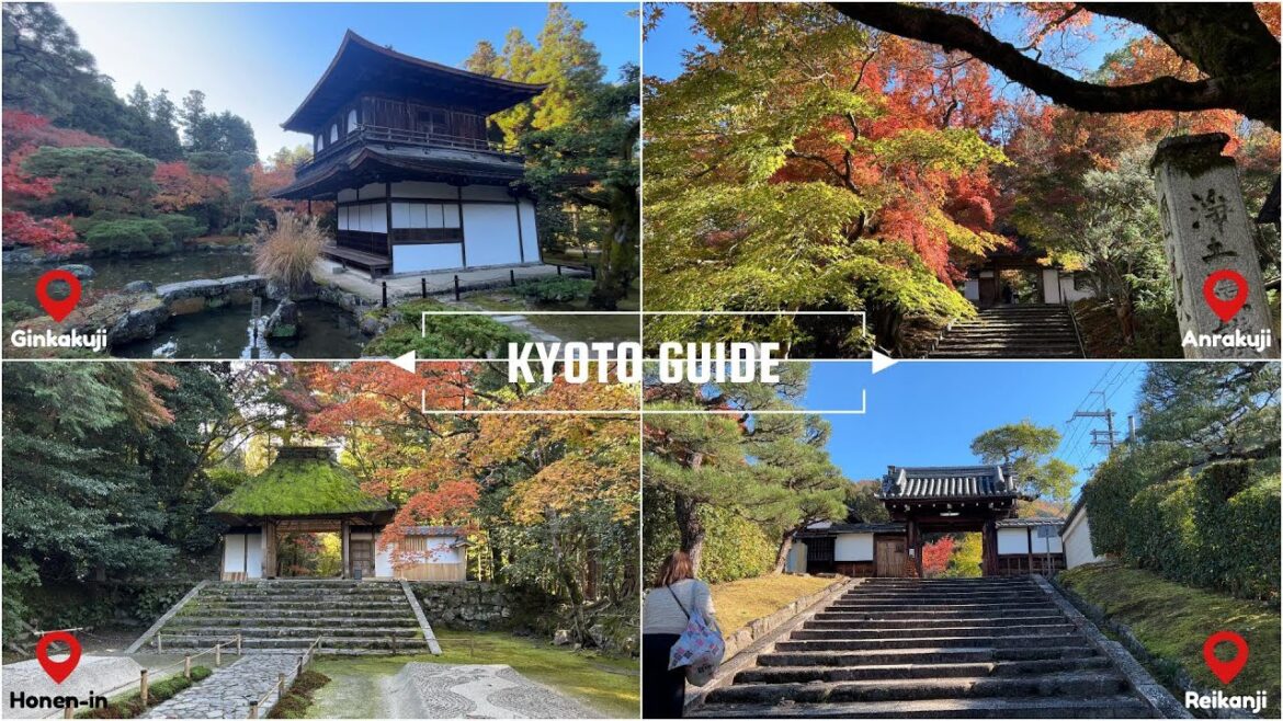 【4K】Guide to famous places in Japan(Ginkakuji area kyoto,japan) 【4K】Guide to famous places in Japan(Ginkakuji area kyoto,japan)