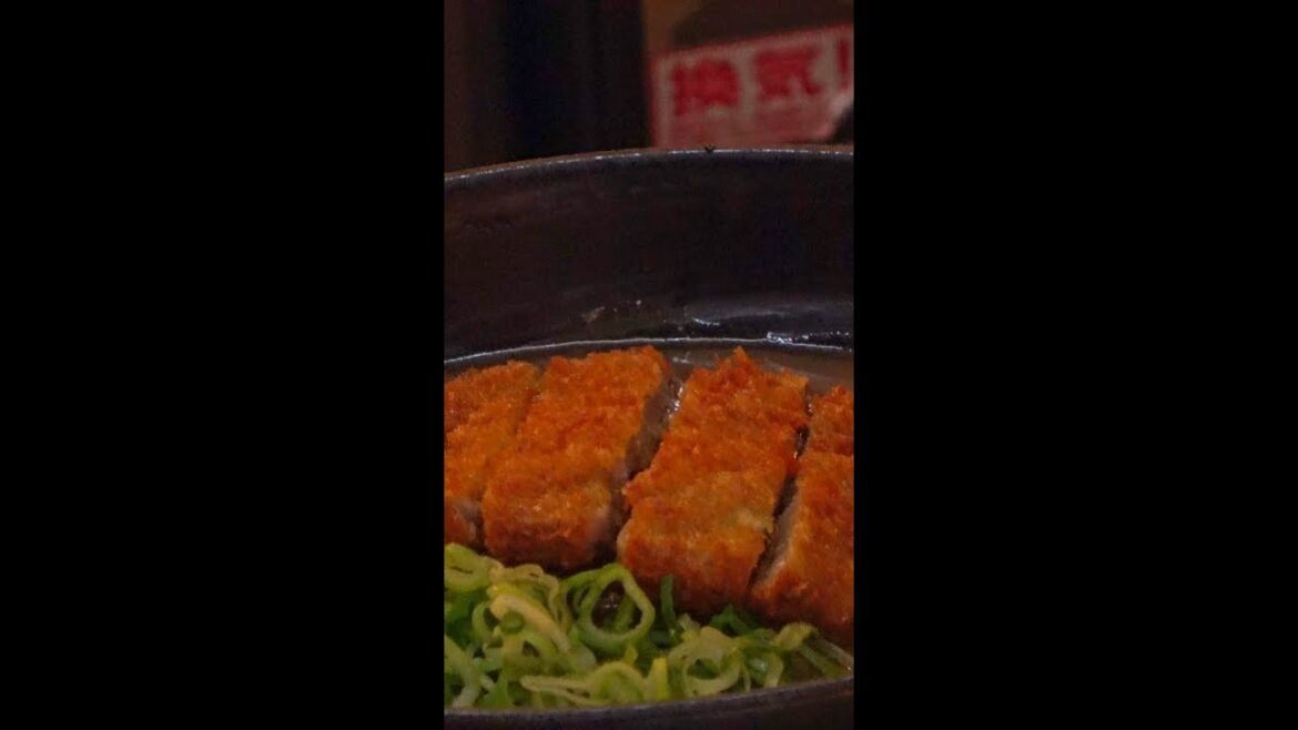 [Shorts] Very delicious! Katsu Curry Udon - Mendokoro Taisuke - Japanese food #Shorts