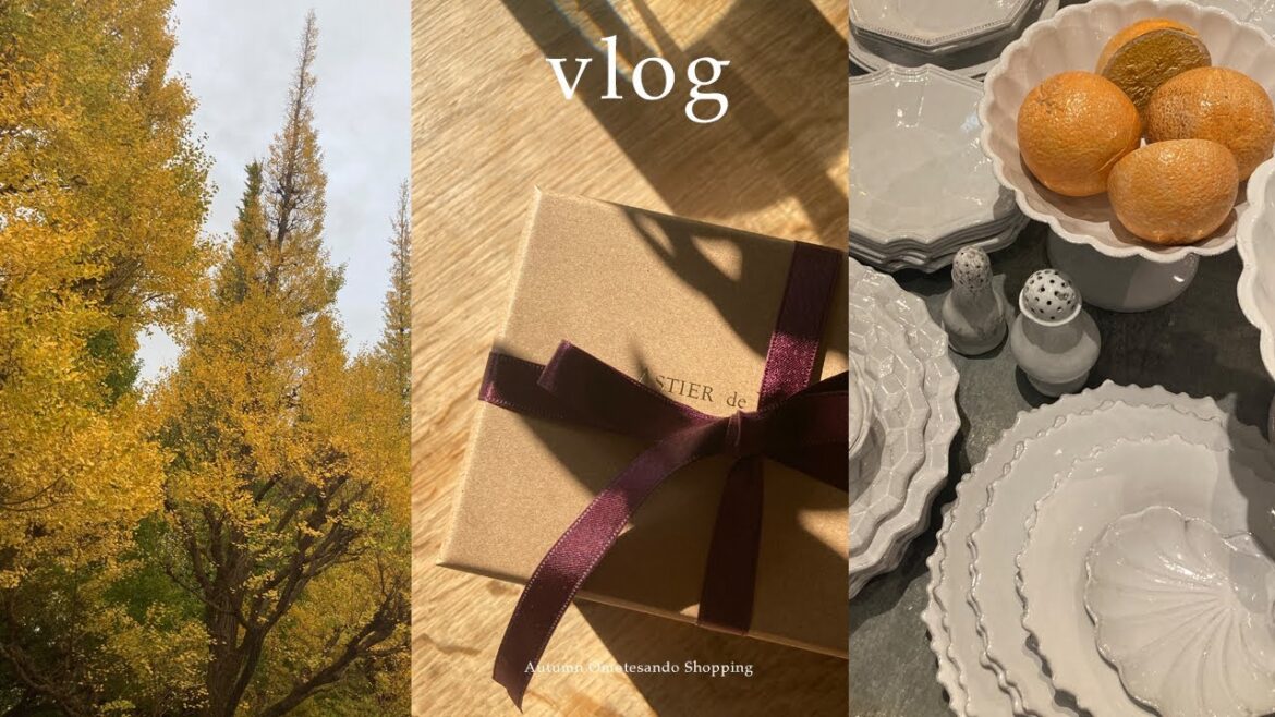 【Tokyo vlog】秋の表参道デート｜外苑前イチョウ並木｜クリスマスの準備｜HAUL｜ZARA HOME  アスティエ Diptypue