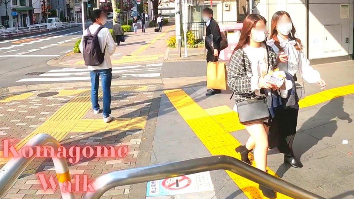 Komagome Tokyo, in Japan walking tour【4K】11.2022