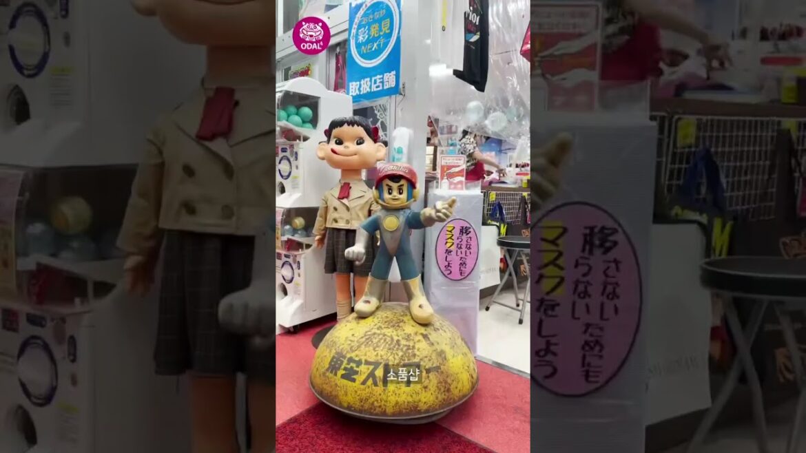 국제거리 l 오키나와 관광지 소개 국제거리 l 오키나와 관광지 소개