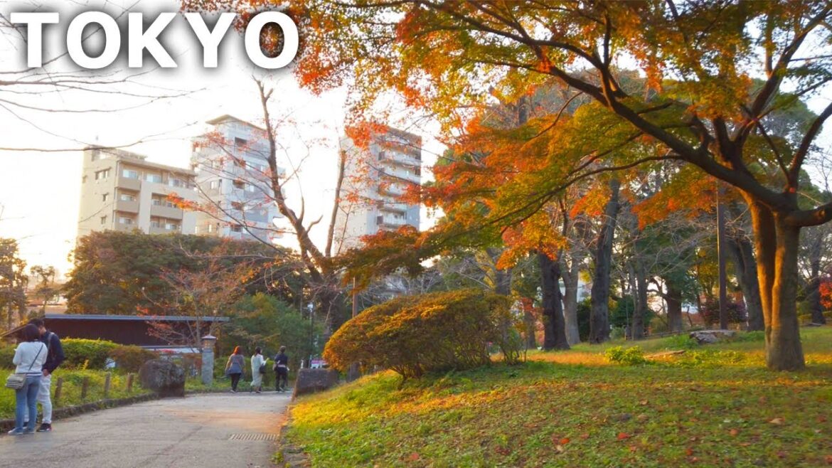 [4k] Tokyo - Asukayama Park in Oji at dusk in autumn (Nov. 2022)