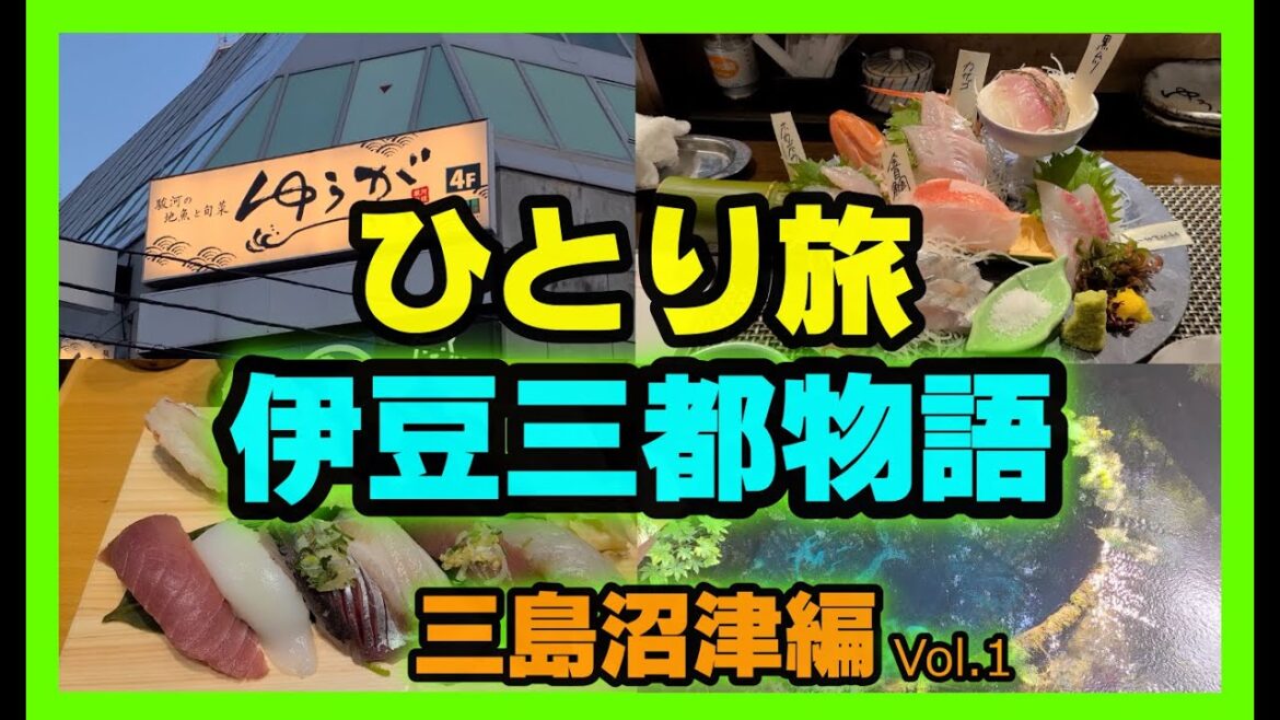 【ひとり旅#29】伊豆三都物語Vol.1 三島沼津編 海鮮食い倒れ グルメ旅 呑み旅 【ひとり旅#29】伊豆三都物語Vol.1 三島沼津編 海鮮食い倒れ グルメ旅 呑み旅