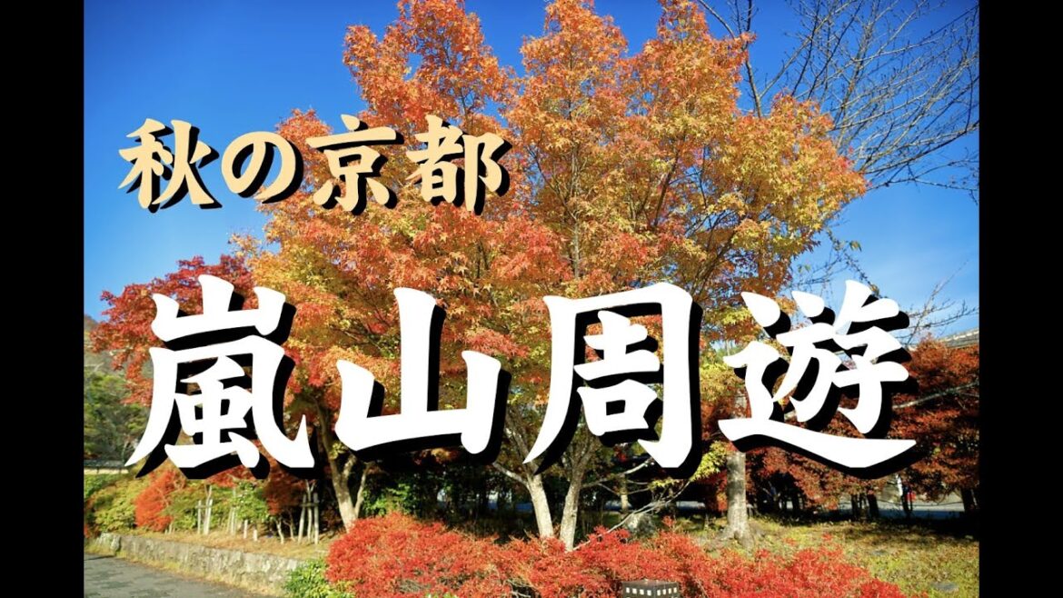 Autumn day trip to Kyoto 20221122