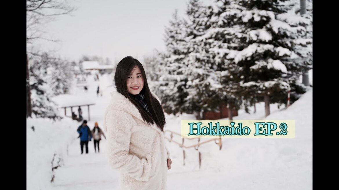 เที่ยวญี่ปุ่น Hokkaido EP.2 : ชมน้องเพนกวินสุดน่ารัก เที่ยว Asahikawa Snow Festival 2019