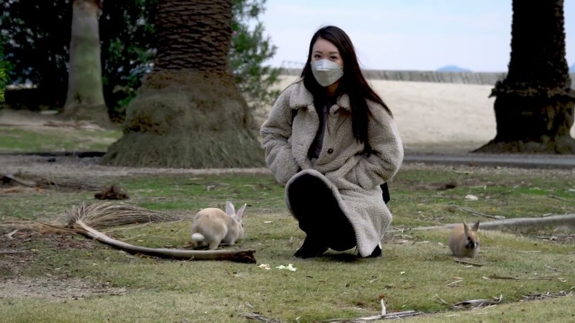 Japan Trip - Kansai Region + Hiroshima