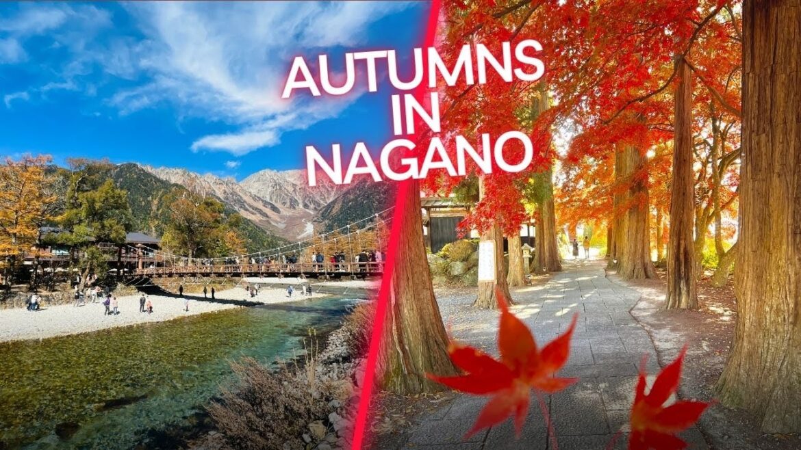 Autumns in Nagano 2022  / 2022年長野県紅葉景  / Travel EN