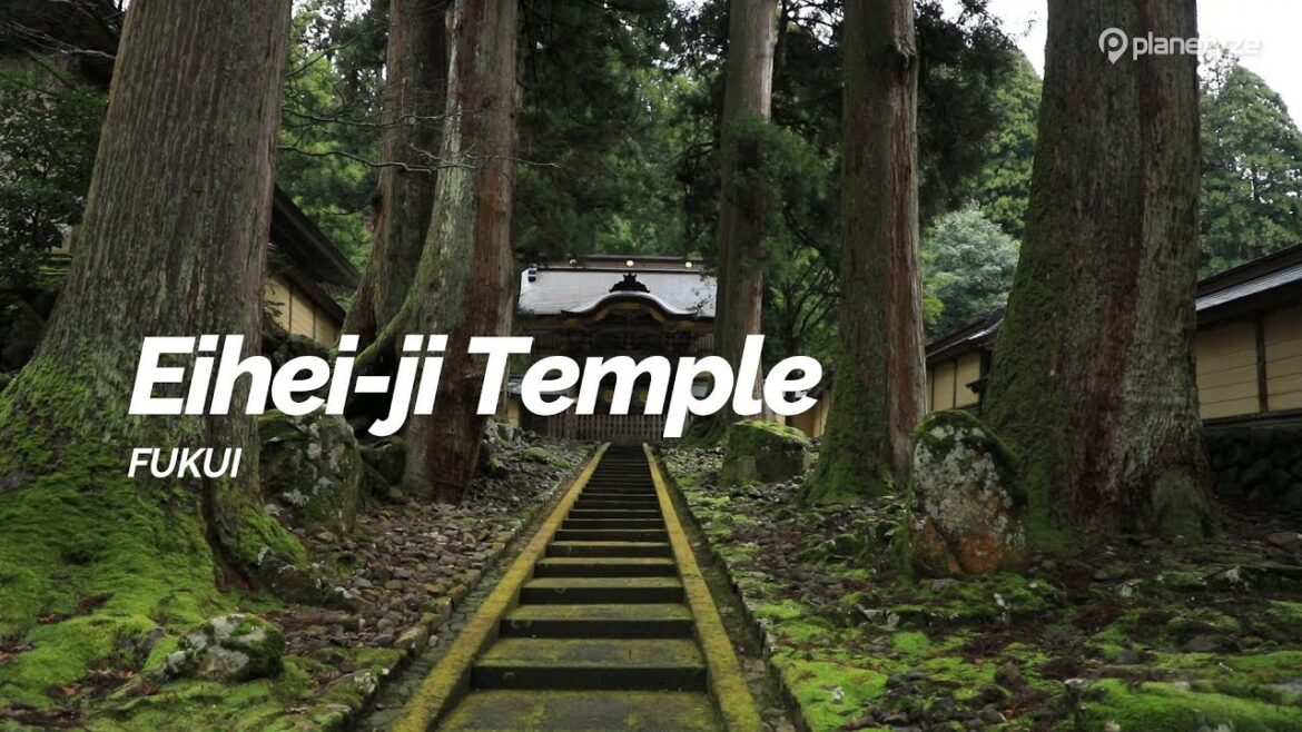 Eihei-ji Temple, Fukui | Japan Travel Guide Eihei-ji Temple, Fukui | Japan Travel Guide