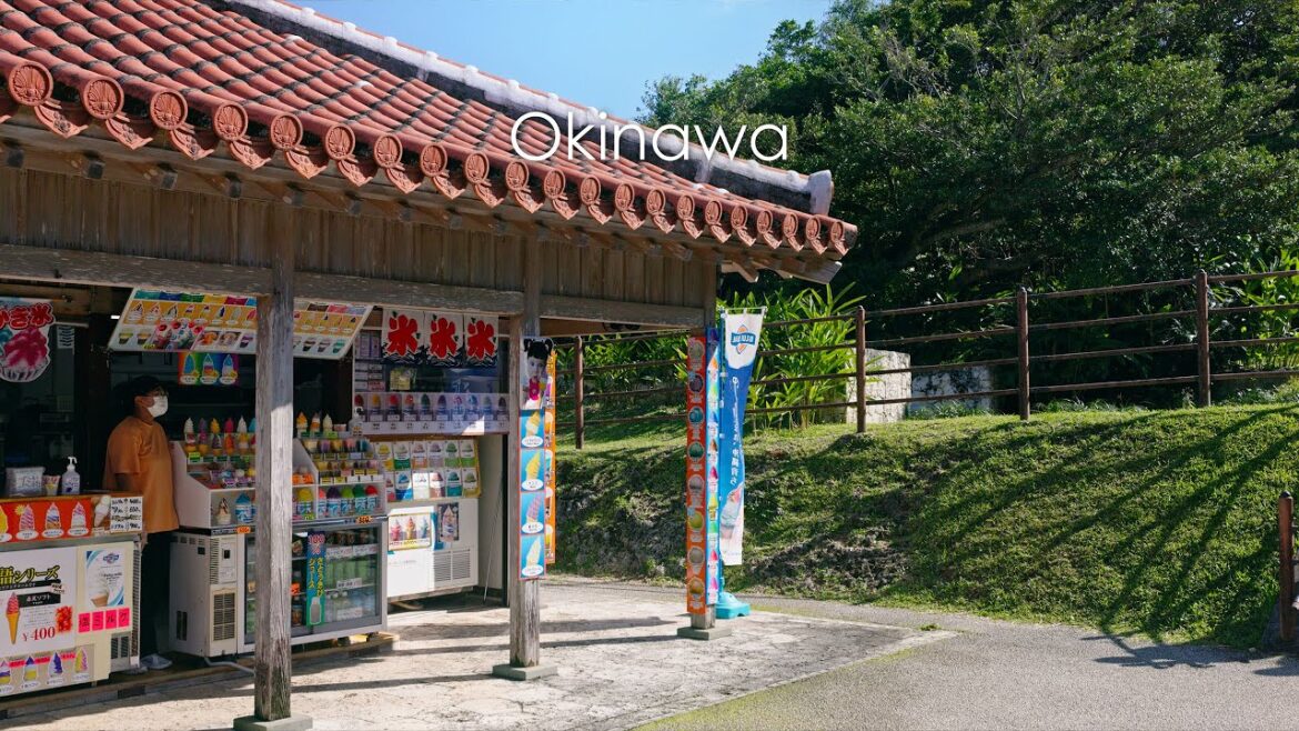 沖縄の旅 | Okinawa Trip vlog