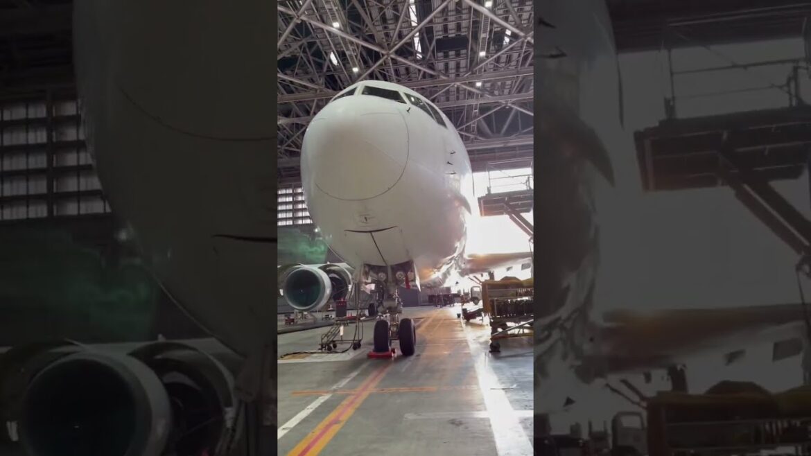 #Japan trip 2022 - #JapanAirlines maintenance #hangar at #HanedaAirport #Tokyo #JAL #Shorts JA772J