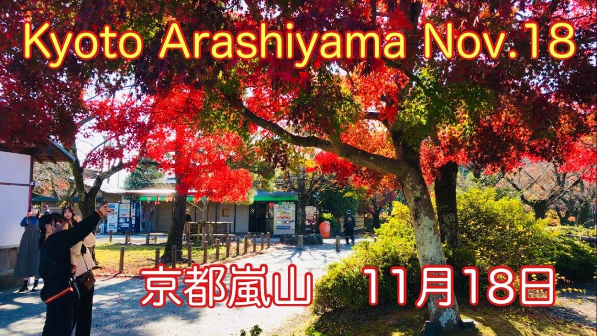 秋の京都嵐山　紅葉の季節🍁 Kyoto Arashiyama Togetsukyo Bridge 2022年11月18日(金)