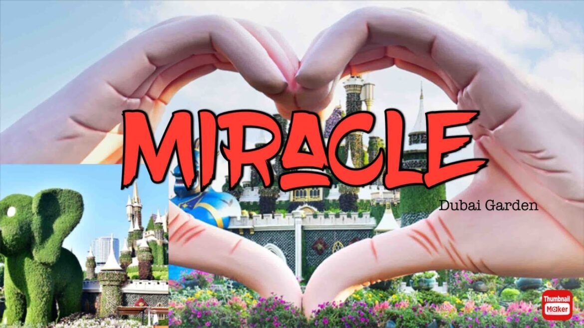 Miracle Garden Dubai 2022 ll The World 's largest natural flower