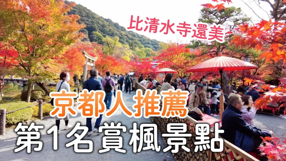 京都人推薦的第一名賞楓景點｜不用加價就能搭的阪急洛雅觀光列車| 比清水寺還美!|永觀堂禪林寺楓葉絕景|南禪寺|古民家藍瓶咖啡｜日本旅遊vlog。生活日常。自由行景點美食推薦