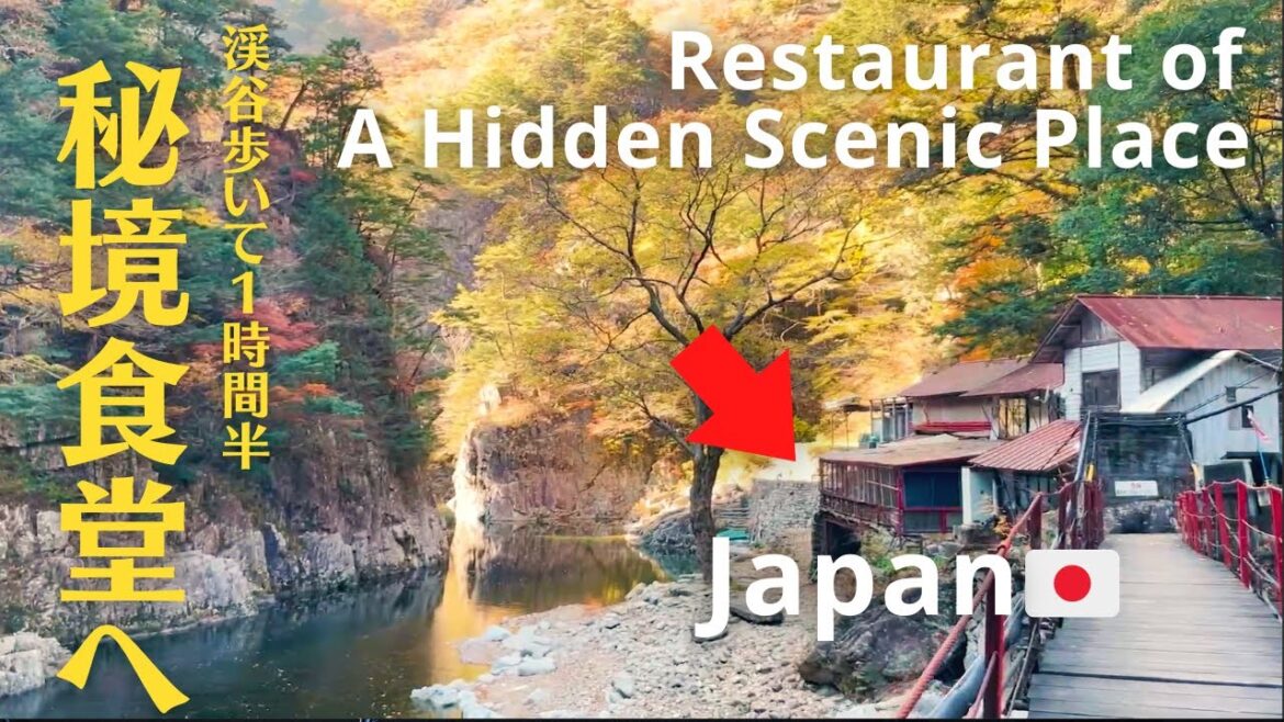 2 hours by car and 1.5 hours hiking🚶‍♀️Japanese country food🥢.A Hidden Scenic Place.Hiroshima,Japan.
