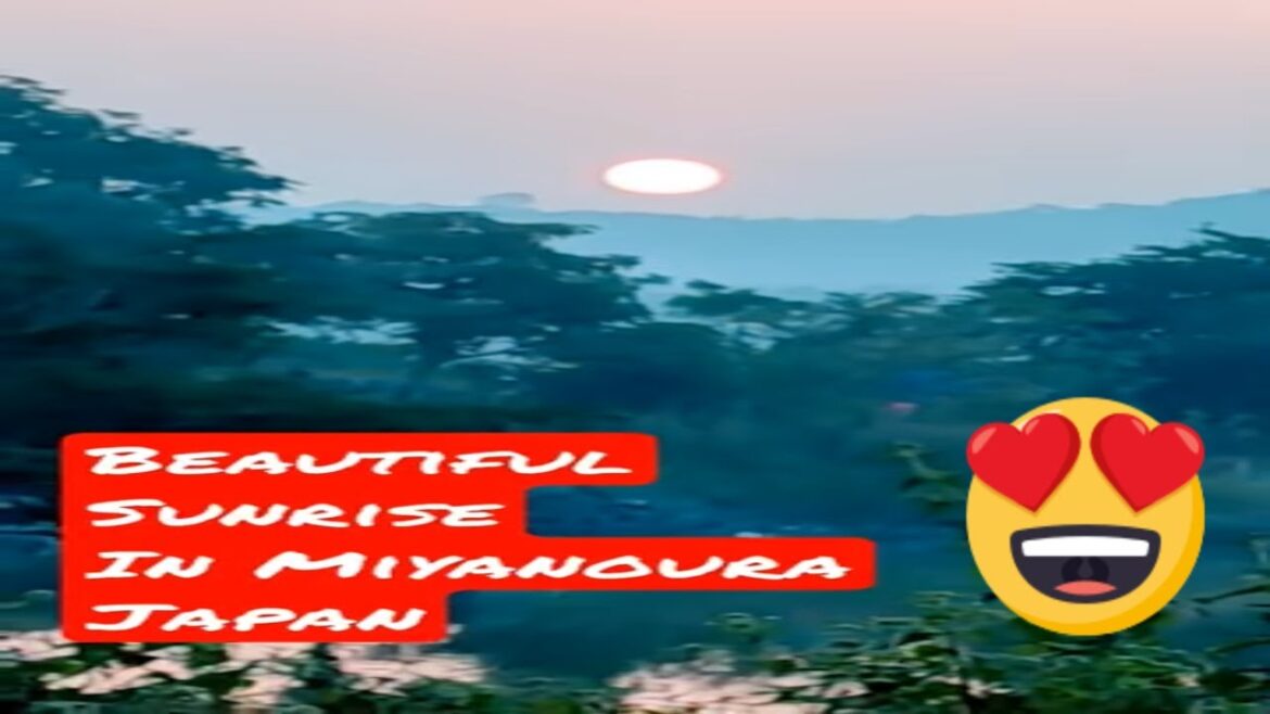 Beautiful morning sun rise in Jōmon Sugi, Miyanoura, japan