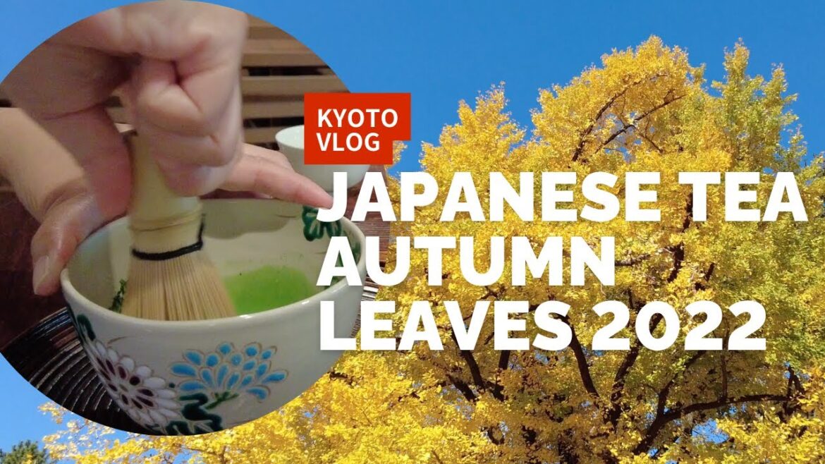 【京都紅葉さんぽ】Japanese tea & Kyoto Imperial Palace  | 京都御所& 一保堂茶舗 & Coffee Base NASHINOKI〔#018〕