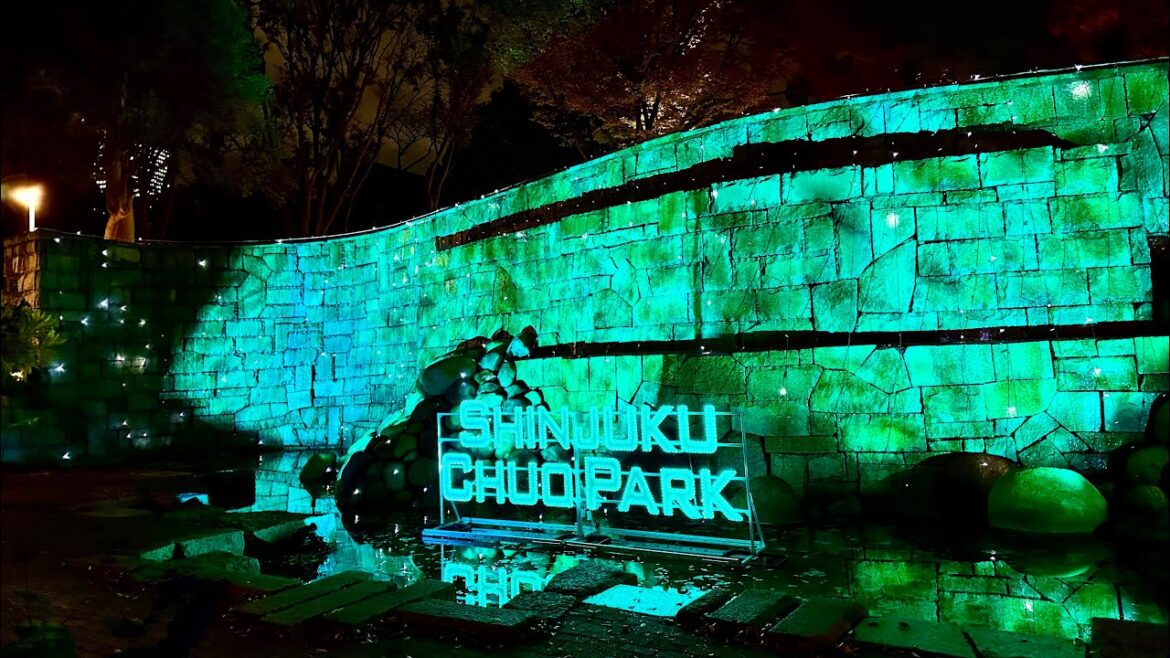 Thanksgiving in Japan?! 🦃 🇯🇵 ⚽️ 🎉 Nighttime Shinjuku Walk to Honancho