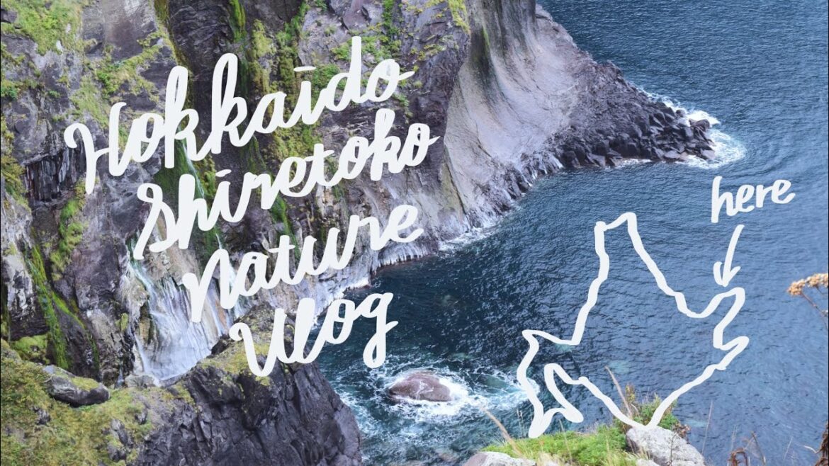 travel vlog｜北海道知床、大自然の旅。
