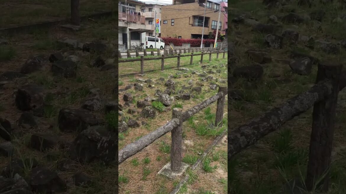 Another great location found by Fukuoka Day Tours for our walking tours around Fukuoka.