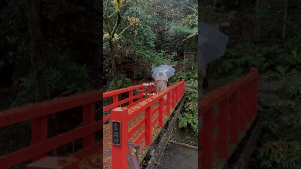秋の貴船神社#kyoto #shorts #紅葉#vlog