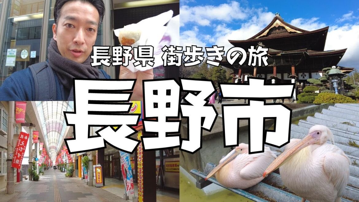 【街歩き】長野駅から善光寺周辺までさんぽ旅!長野市は美味しいグルメ溢れる街|長野県長野市 【街歩き】長野駅から善光寺周辺までさんぽ旅!長野市は美味しいグルメ溢れる街|長野県長野市