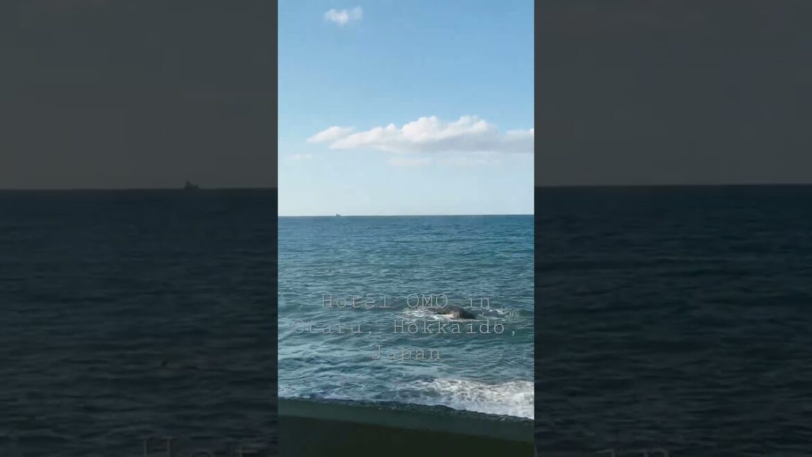 Hotel OMO5 di Kota Otaru, Hokkaido, Jepang