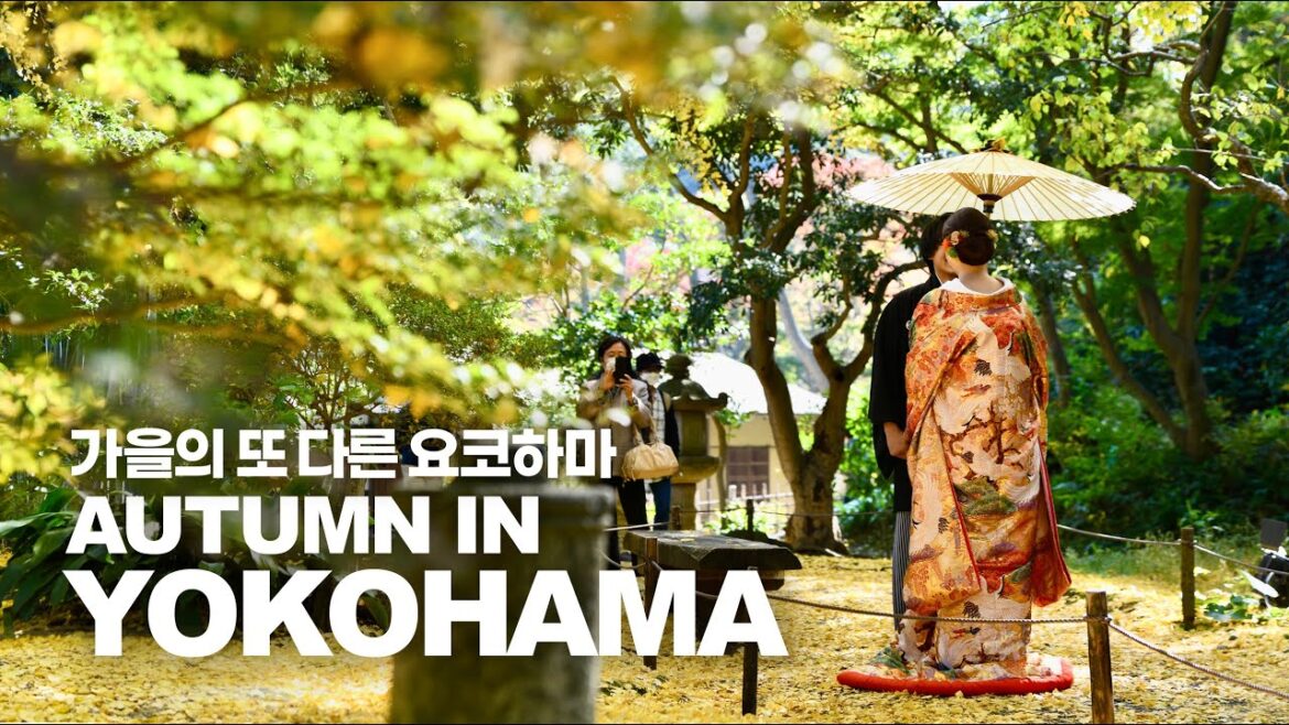 가을 요코하마의 또 다른 매력 가을 요코하마의 또 다른 매력