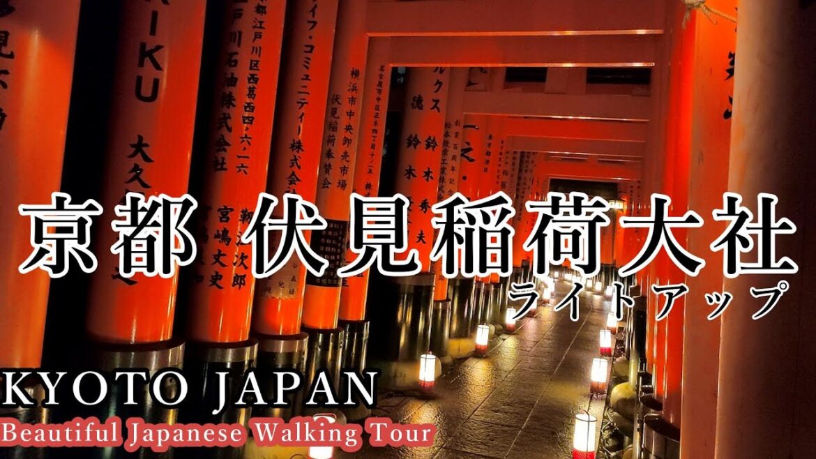 【京都 観光】京都 伏見稲荷大社 ライトアップ　おすすめスポット