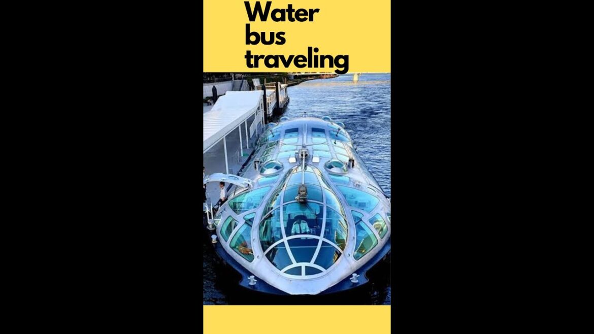 Water bus | Tokyo | riverside | japan  | traveling| asakusa| full video in first comment| @rasworld