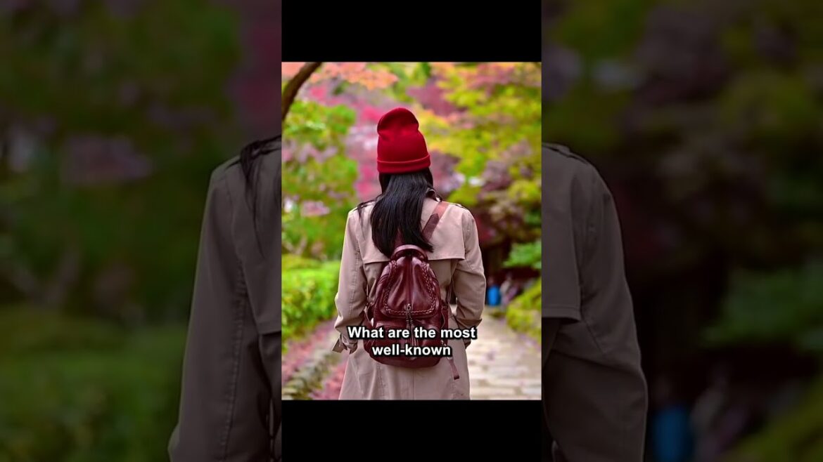 JAPAN 🇯🇵 | TRAVEL TIPS | ASIA #shorts #travelhacks #japan #asia JAPAN 🇯🇵 | TRAVEL TIPS | ASIA #shorts #travelhacks #japan #asia