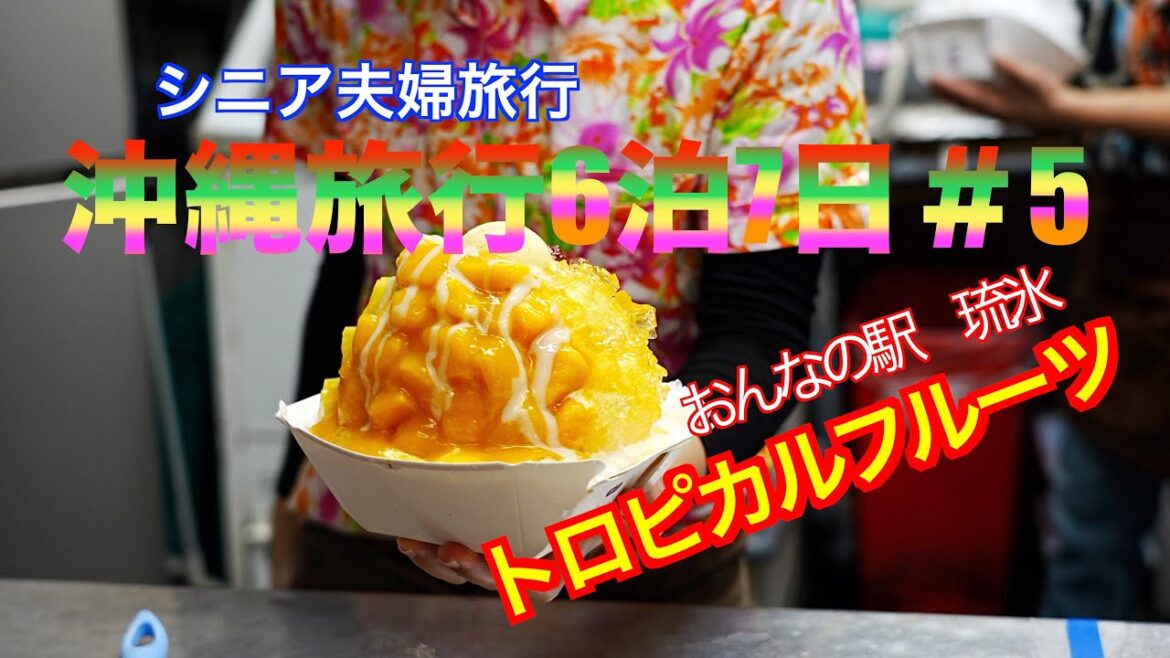 2022年10月沖縄旅行６泊7日＃5【シニア夫婦旅行Viog】おんなの駅琉氷でトロピカルフルーツ