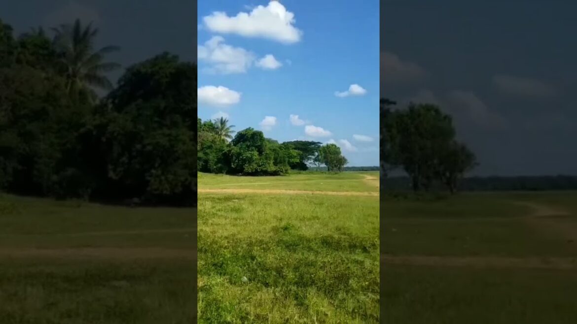 A reservoir is a tourist spot #travelworld #shorts #travel 😜❤️😍 #music #youtubeshorts #vairal