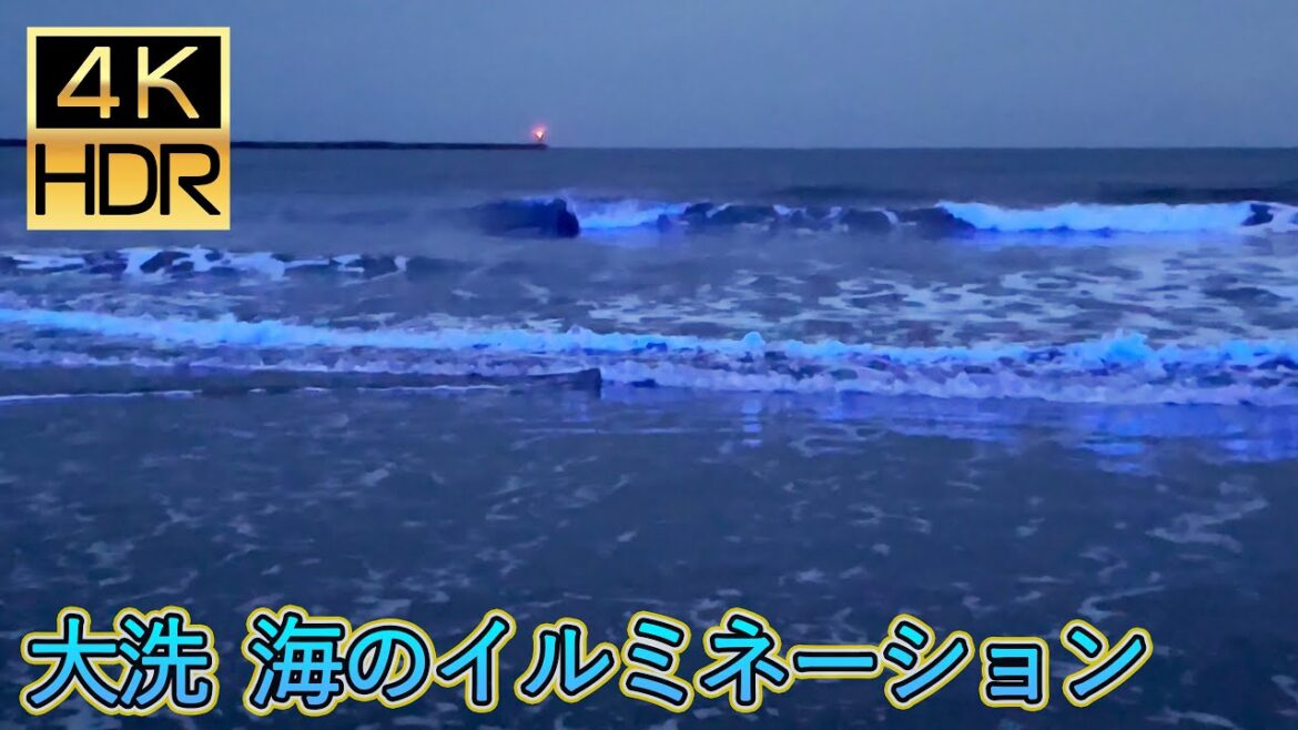 [JapanTravel] 大洗 海のイルミネーション Oarai Sea Illumination