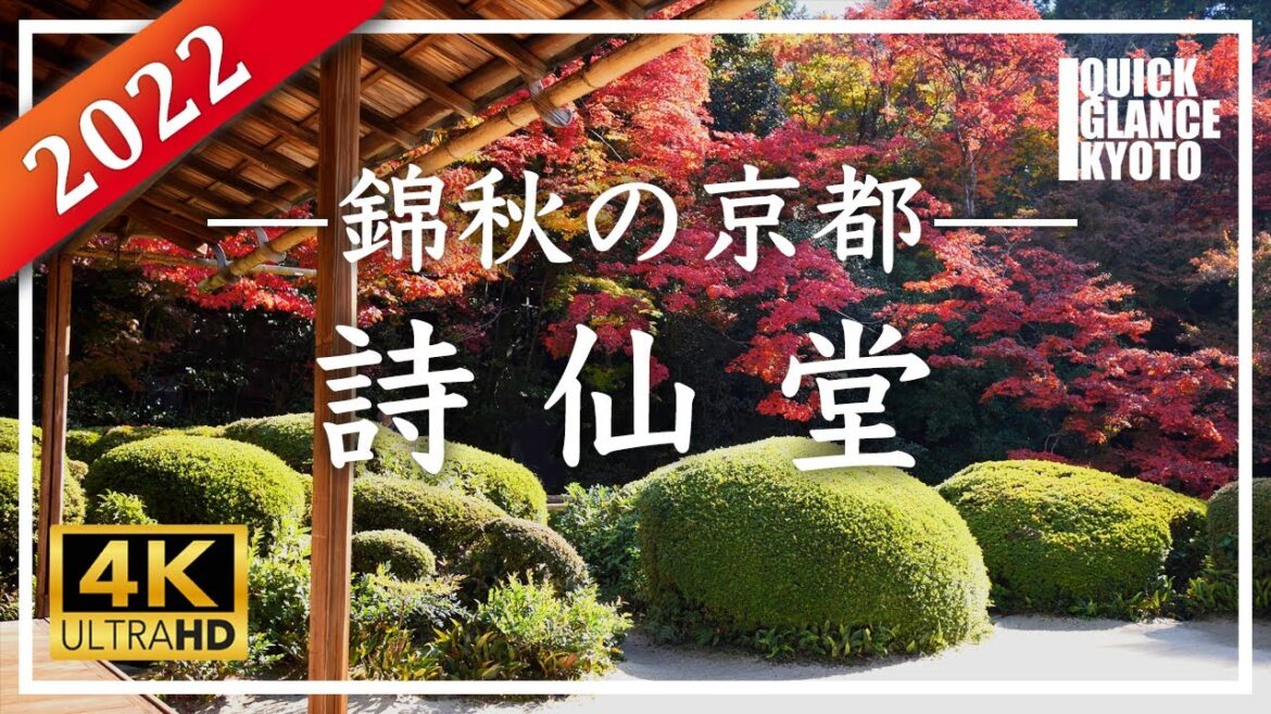 京都紅葉2022 🍁 詩仙堂〜 11月19日に拝観しました。青空の下、綺麗に色づいた紅葉と曲線可愛く刈り込まれたサツキのコラボが、あ〜詩仙堂だなぁ、と感じさせてくれます。