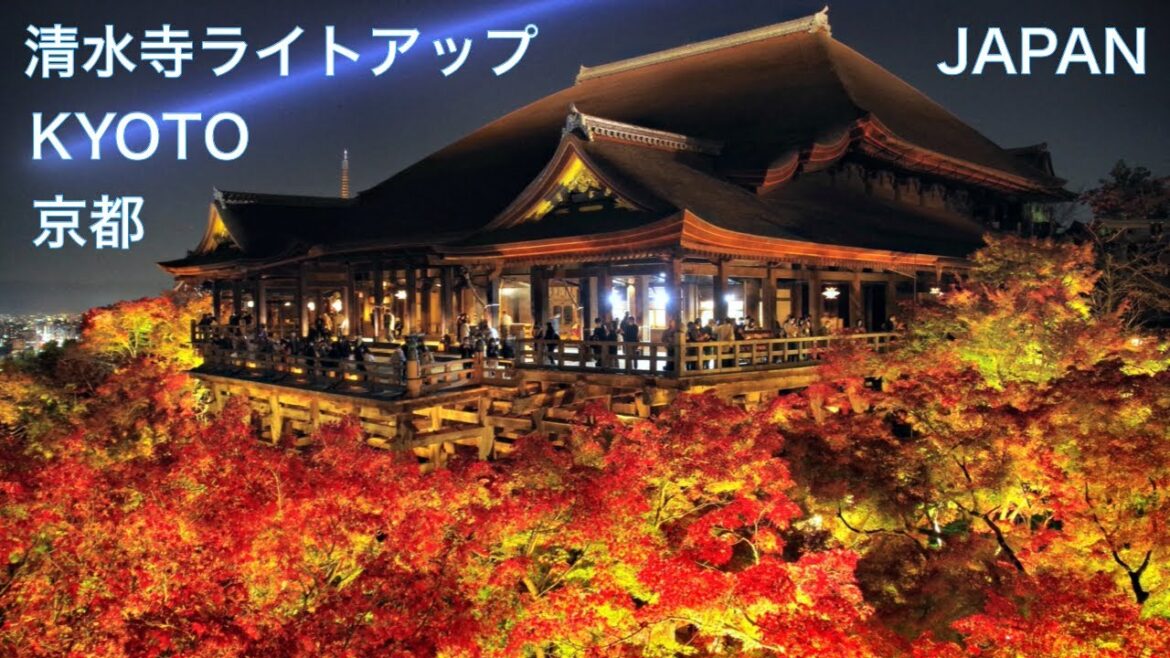【京都 ひとり旅:清水寺】圧巻の紅葉ライトアップ!! 京都散歩 KYOTO JAPAN KIYOMIZUDERA Temple Illumination 絶景 パワースポット 【京都 ひとり旅:清水寺】圧巻の紅葉ライトアップ!! 京都散歩 KYOTO JAPAN KIYOMIZUDERA Temple Illumination 絶景 パワースポット