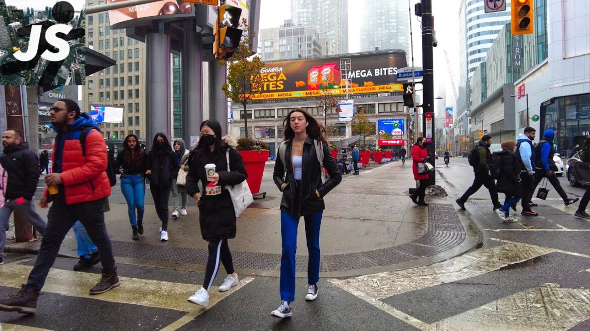 Victoria Street to Union Station | Downtown Toronto Walk (Nov 24, 2022) Victoria Street to Union Station | Downtown Toronto Walk (Nov 24, 2022)