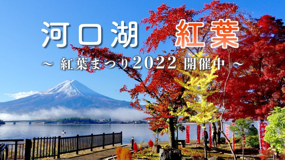 2022 『河口湖』 の紅葉 / 富士山と紅葉・黄葉風景 / 紅葉まつり2022開催中 [4K] #Kawaguchiko #Autumn_Leaves #MtFuji