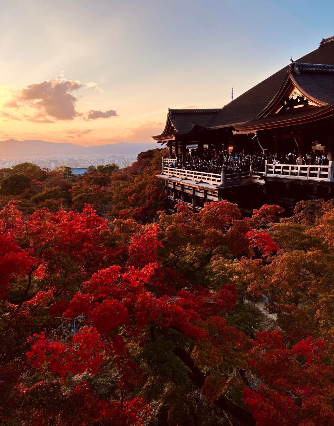 Beautiful Kyoto fall colors