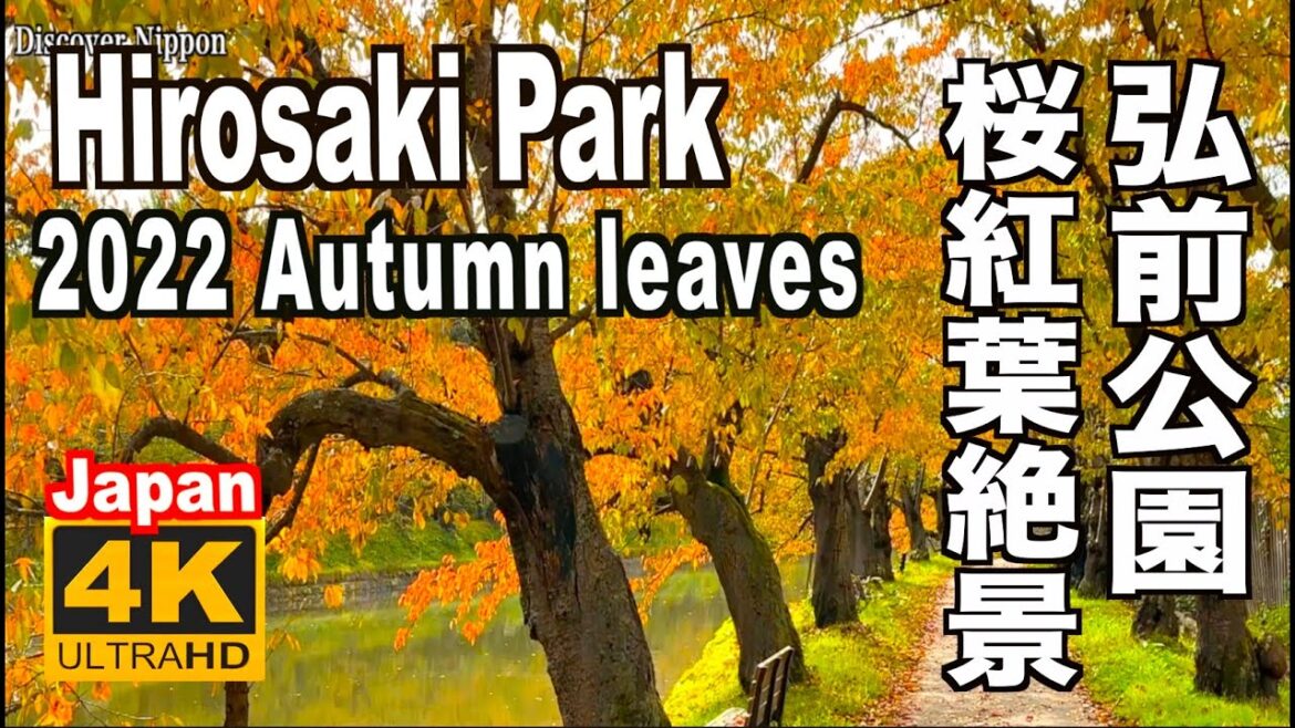 4K 2022 弘前公園の紅葉 Autumn leaves of Hirosaki Park 弘前城 弘前観光 青森観光 青森旅行 紅葉の名所 桜紅葉 紅葉の名所 Hirosaki Castle 4K 2022 弘前公園の紅葉 Autumn leaves of Hirosaki Park 弘前城 弘前観光 青森観光 青森旅行 紅葉の名所 桜紅葉 紅葉の名所 Hirosaki Castle