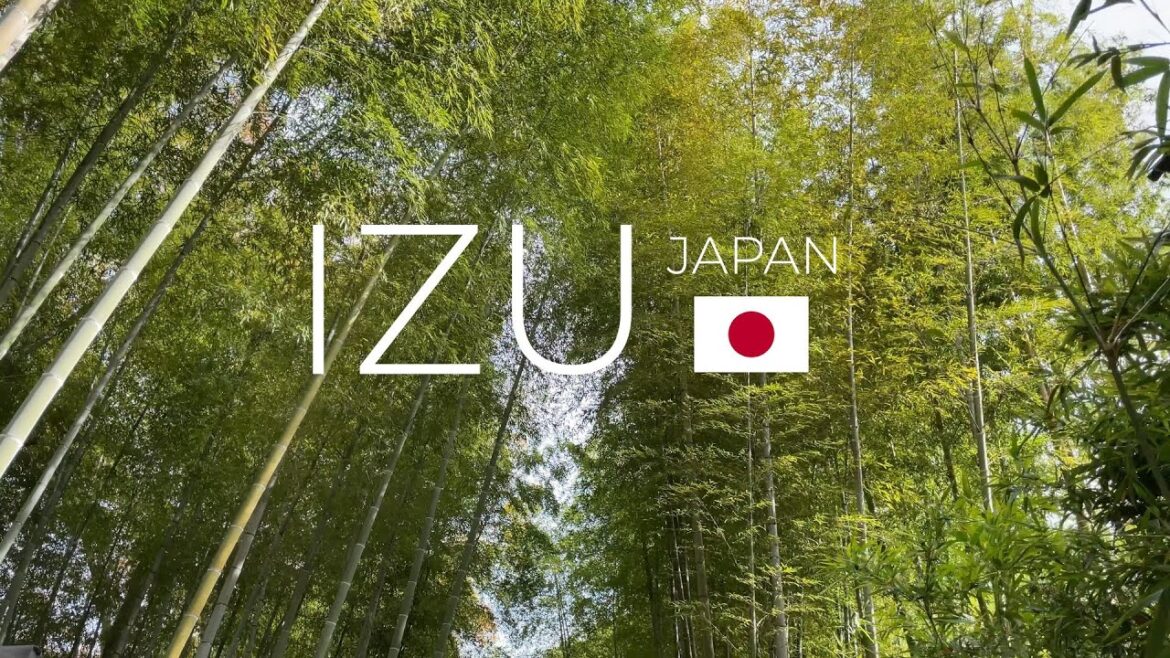 Izu, Japan - Must Visit Places: Bamboo Forest, Shuzenji Temple, and Bakery & Table - PART 1