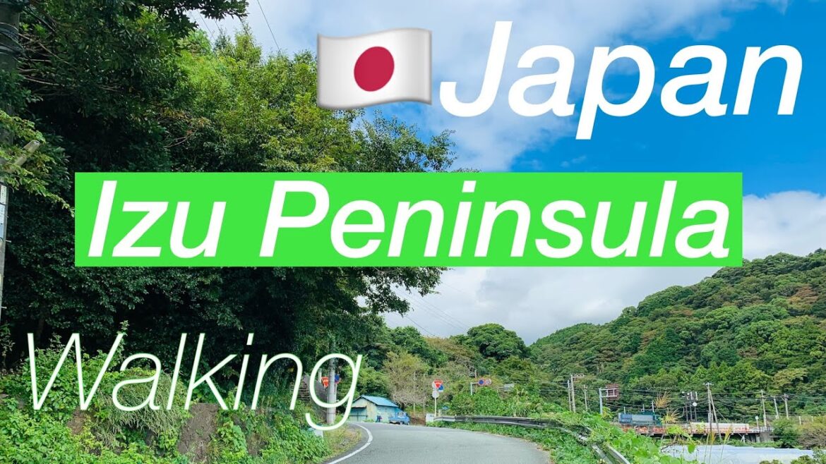 JAPAN🇯🇵I tried to speak in English /Walking to Imaihama /31 Walking around Izu Peninsula, Shizuoka