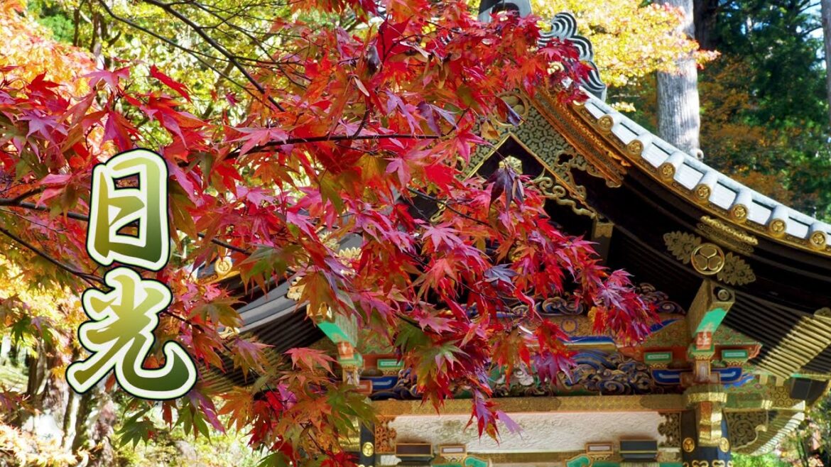 NIKKO【Autumn colors】UNESCO World Heritage Shrines and Temples in Nikko.日光東照宮 #4K