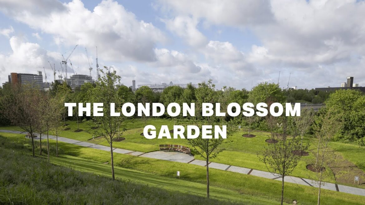 The London Blossom Garden The London Blossom Garden