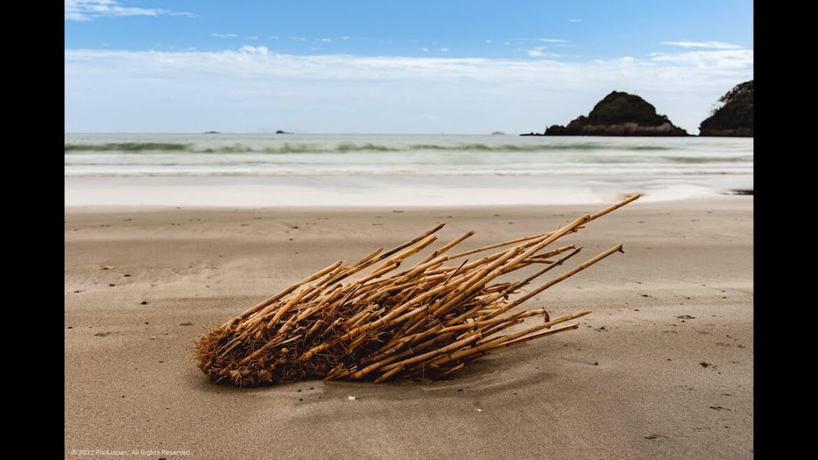 Visiting Izu Peninsula for Seascape Photography in Shizuoka Prefecture, Japan | 石廊埼・王子神社・弓ヶ浜・南伊・静岡県 Visiting Izu Peninsula for Seascape Photography in Shizuoka Prefecture, Japan | 石廊埼・王子神社・弓ヶ浜・南伊・静岡県