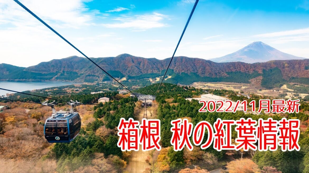 【2022年最新】箱根秋の紅葉スポット巡り【HAKONE】