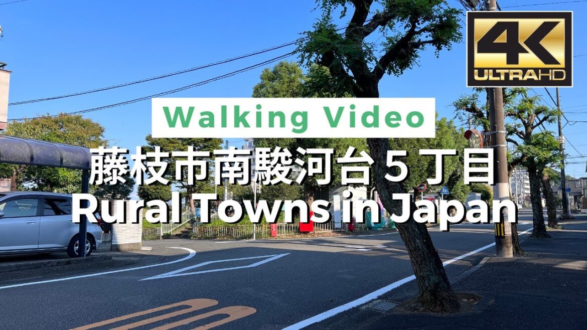 【4K】Rural Towns in Japan – 藤枝市南駿河台5丁目 Walking tour / Japan / DJI Pocket 2 【4K】Rural Towns in Japan - 藤枝市南駿河台5丁目 Walking tour / Japan / DJI Pocket 2