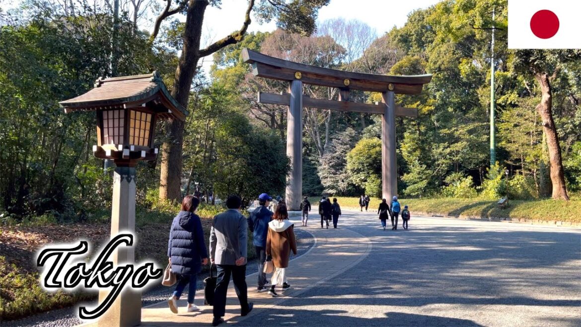 🇯🇵【4K】Tokyo Winter Walk 2021 – Meiji Shrine from Omotesando | 明治神宮・表参道 (February 2021) 🇯🇵【4K】Tokyo Winter Walk 2021 - Meiji Shrine from Omotesando | 明治神宮・表参道 (February 2021)