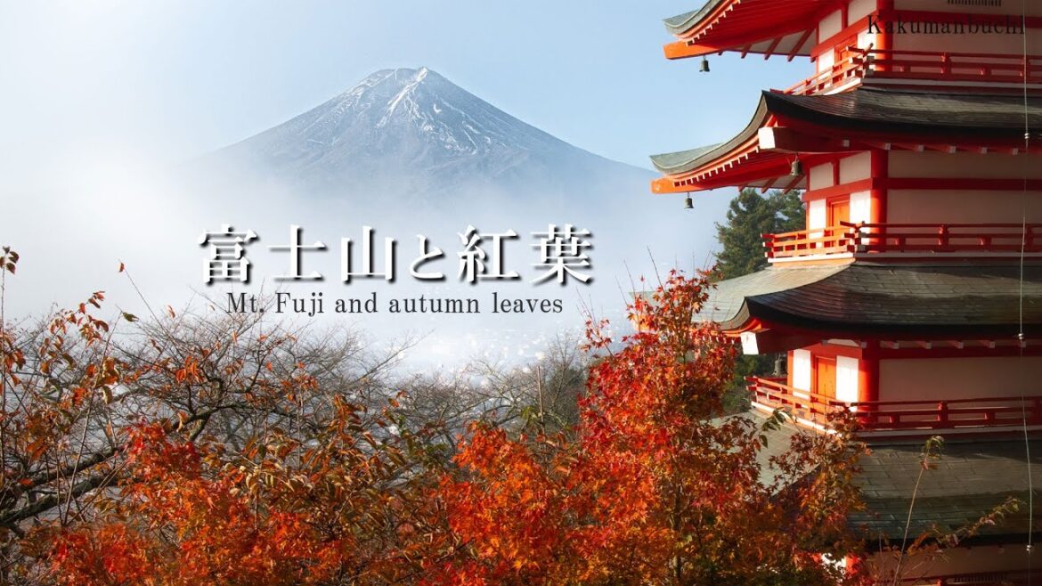 【山梨県】富士山と河口湖周辺の紅葉風 -Autumn foliage scenery around Mt.Fuji and Lake Kawaguchiko-