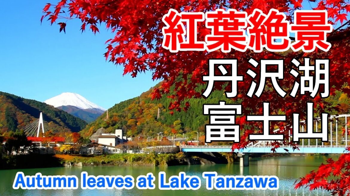 丹沢湖と富士山の紅葉絶景！ ( 中川温泉 / 震生湖 ) / Autumn leaves at Lake Tanzawa and Mt Fuji ( Japan )【日本の紅葉絶景！】 [ 4K ]