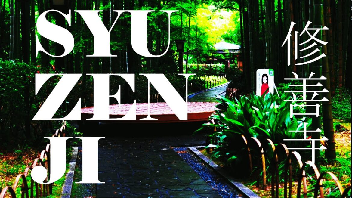 修善寺 伊豆 Shuzenji Izu 静岡旅行 伊豆の小京都 Shizuoka trip small kyoto